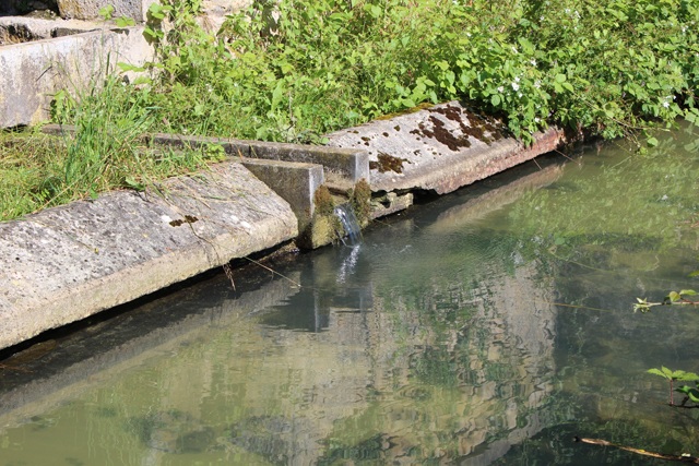 Fontaine Marie Madeleine de Vézelay 